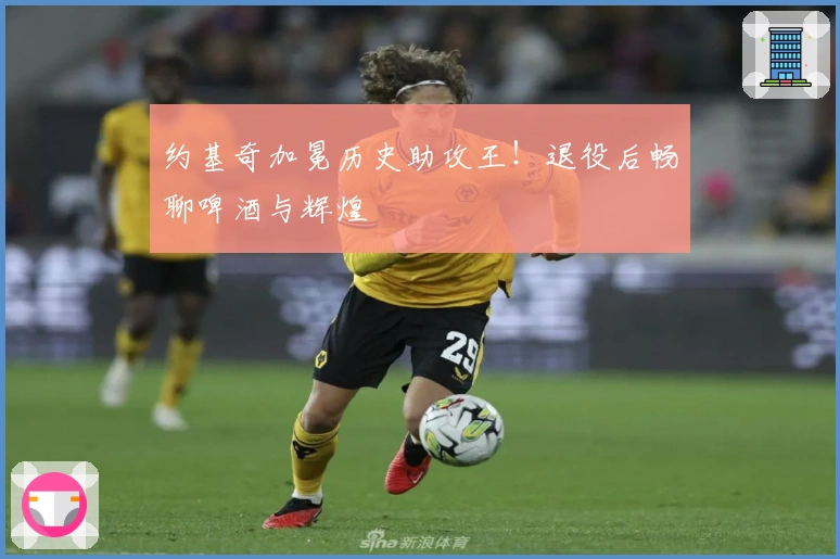 约基奇加冕历史助攻王！退役后畅聊啤酒与辉煌