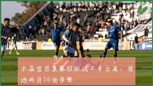 水晶宫密集赛程欧战不幸出局，将迎两月16场争锋